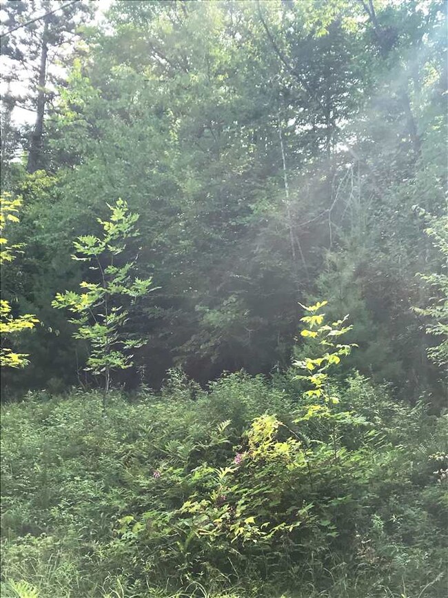 0 Slate Ledge Rd unit 4712074, Littleton, NH 03561 - photo 4