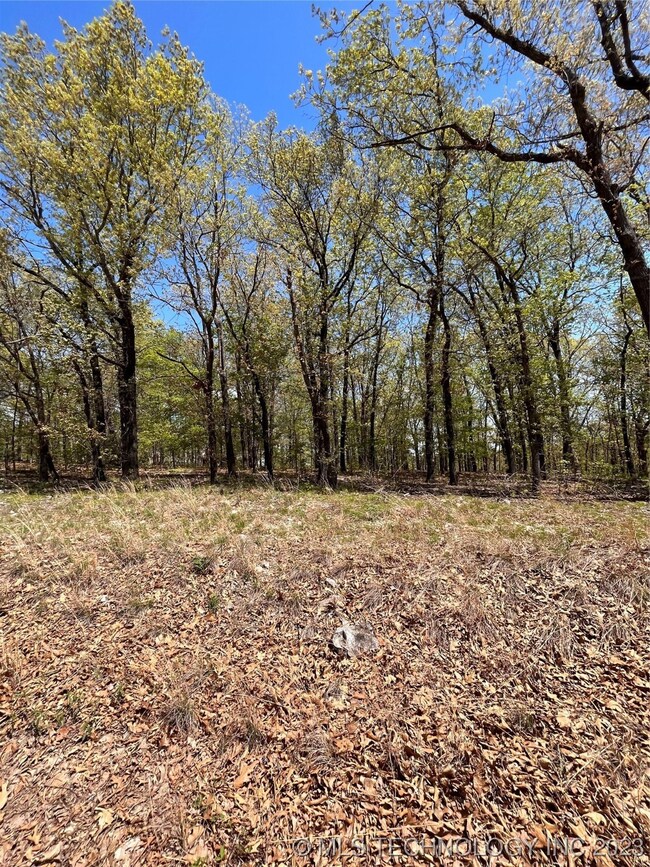 206 Cherokee Trail, Spavinaw, OK 74366 - photo 5