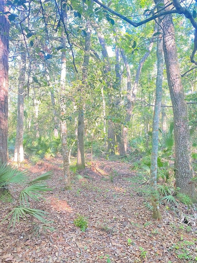 Lot #6 SE 203rd Ave, Old Town, FL 32680 - photo 2