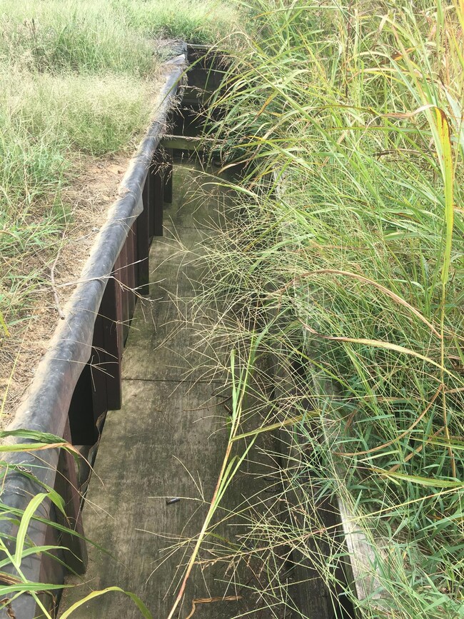 Duck Pit overlooking Cross Creeks Refuge