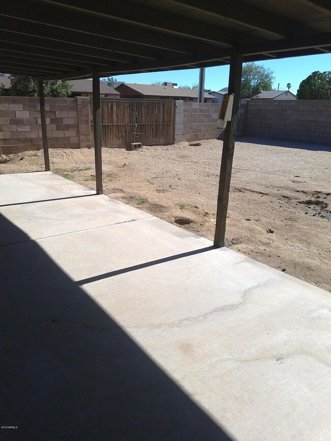 back yard