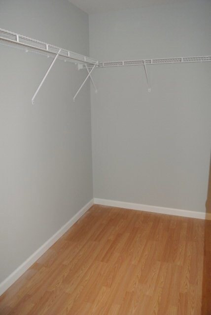 Master W-I Closet