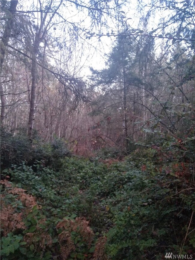 18419 Rouse Rd SW, Longbranch, WA 98351 - photo 3