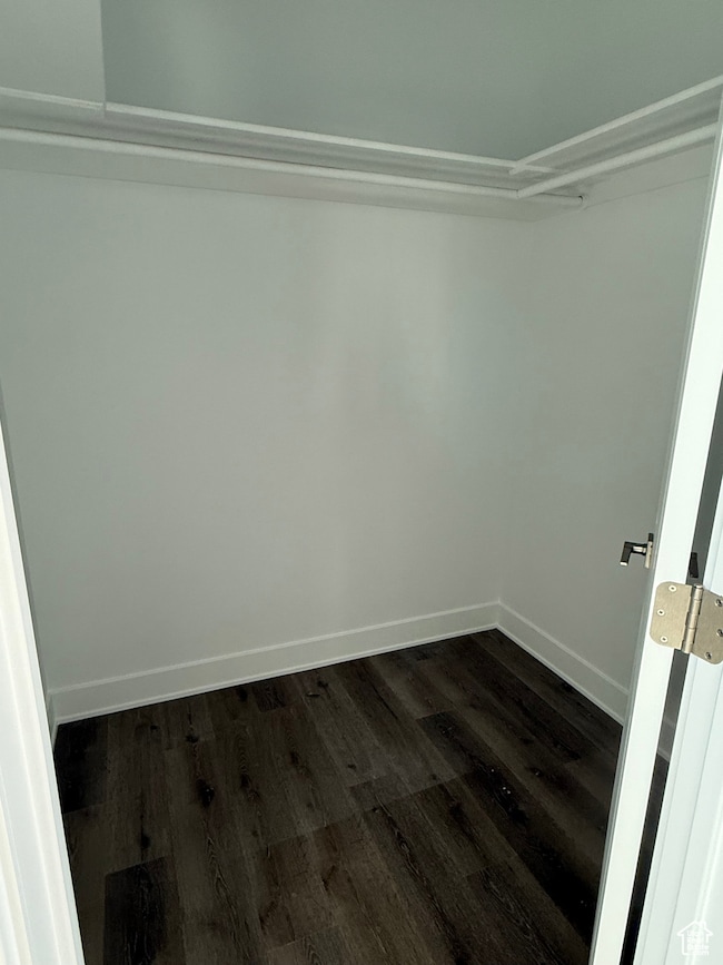 Walk in closet with dark wood finished floors