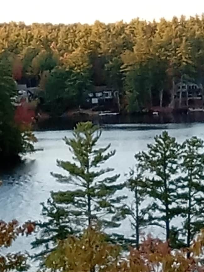 view from top of lot