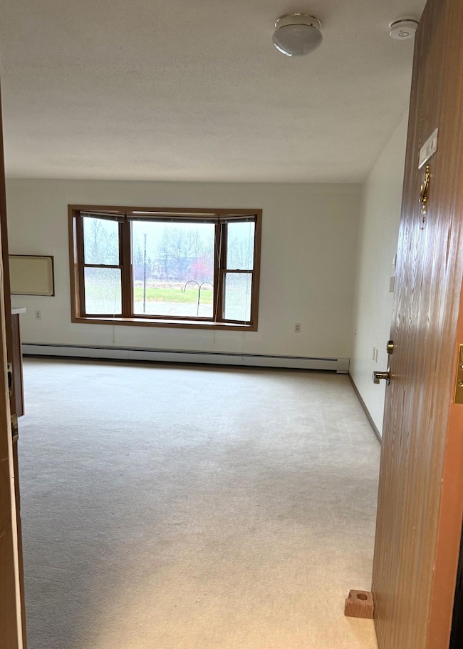 611 Main St S unit 207, Renville, MN 56284 - photo 3