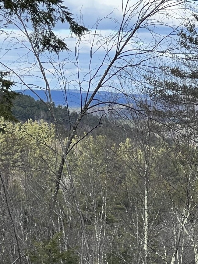 0 Westmoreland Rd, Chesterfield, NH 03462 - photo 4