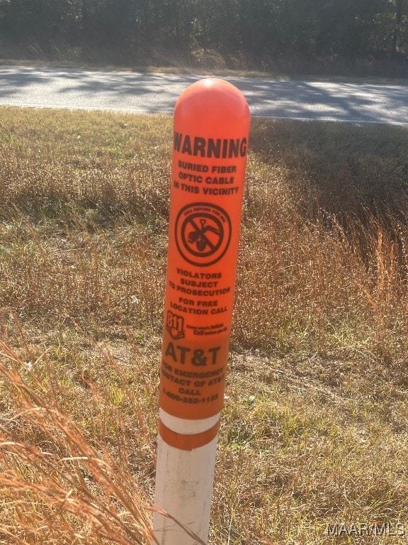 4.36 Acre Lot U S 80, Shorter, AL 36075 - photo 6