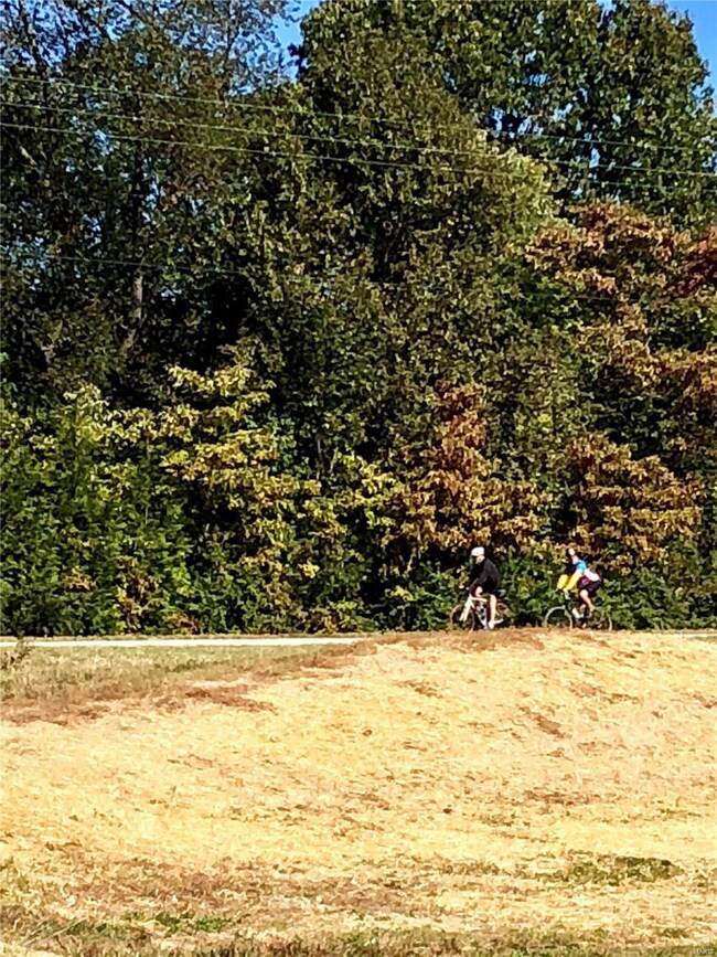 29 Cider Crest Ct, Maryville, IL 62062 - photo 6