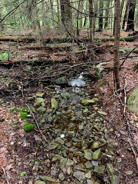 0 Lot 1 & Lot Off Stoney Hollow Rd unit PM-96806, Long Pond, PA 18334 - photo 3