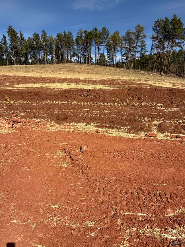 5746 Wind River Rd, Rapid City, SD 57702 - photo 5