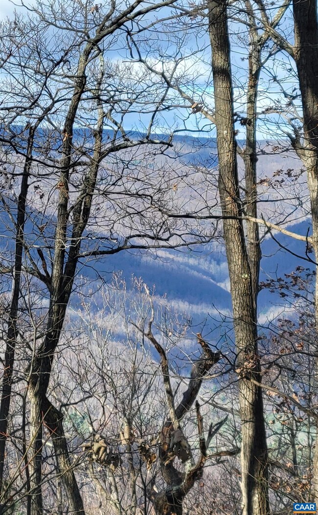 TBD Cc Rd, Madison, VA 22727 - photo 3