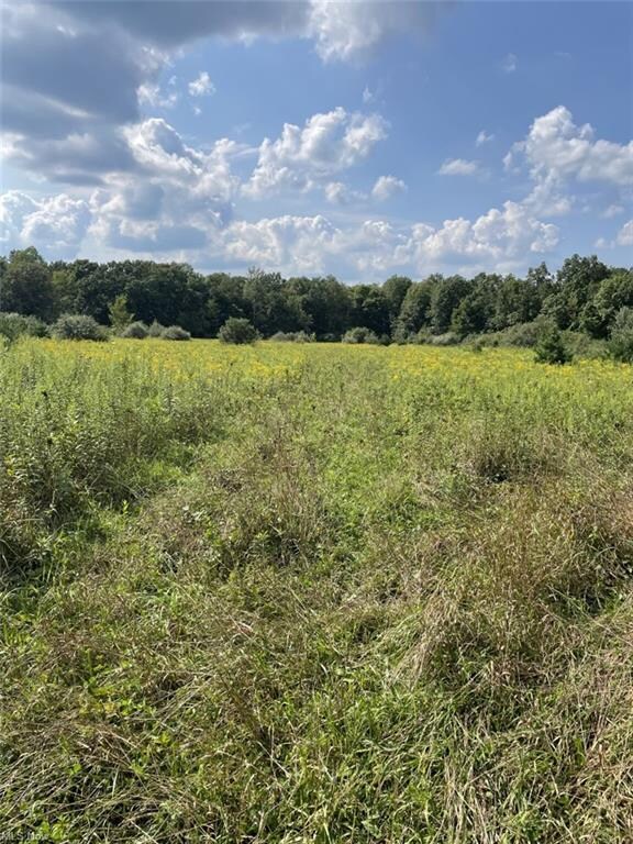 0 Ohio 45, Wellsville, OH 43968 - photo 6