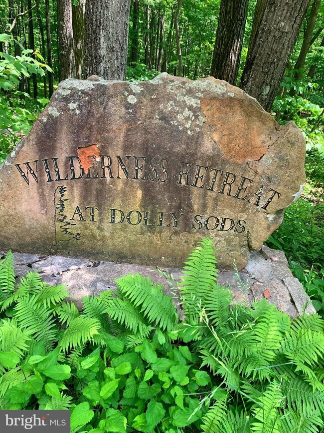 0 Wilderness Dr unit WVGT103492, Cabins, WV 26855 - photo 7