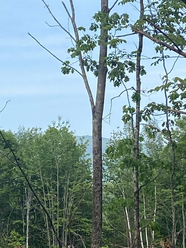 29 High Meadow Rd, Moultonborough, NH 03254 - photo 3