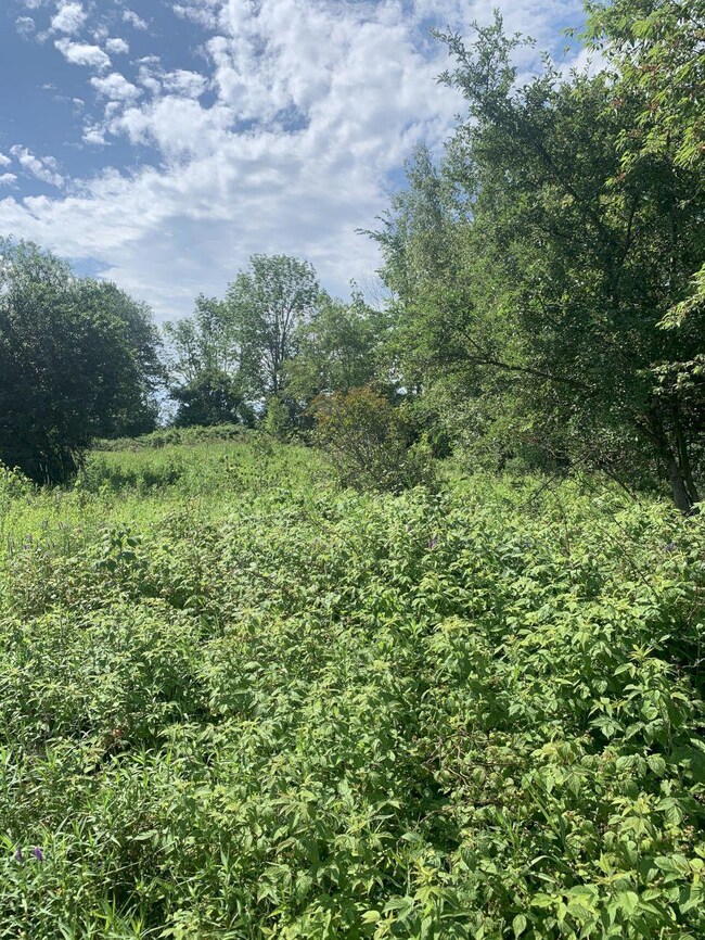 M2 L16-3 Notch Rd, Skowhegan, ME 04976 - photo 4