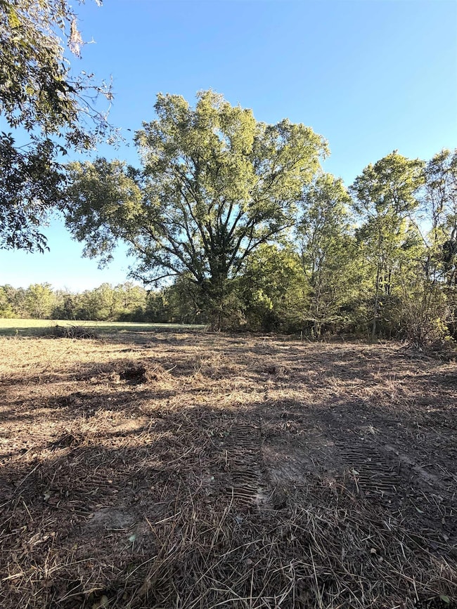 TBD Cr 4316 & 4314, Dekalb, TX 75559 - photo 6
