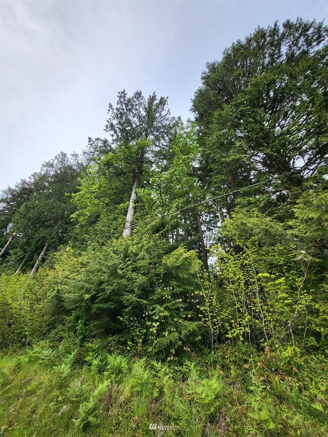 0 288th St NW unit 1935065, Stanwood, WA 98292 - photo 5