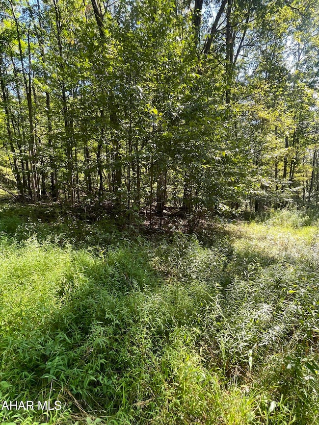 137 3rd St, Dean Township, PA 16636 - photo 6