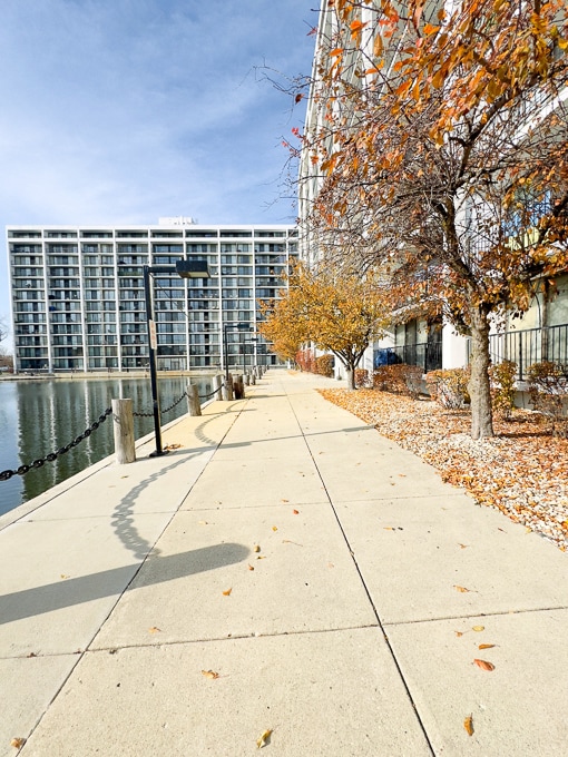 Cove Landing unit 812, Lombard, IL 60148 - photo 3