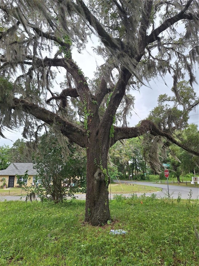 67 NW 21st St, Ocala, FL 34475 - photo 6