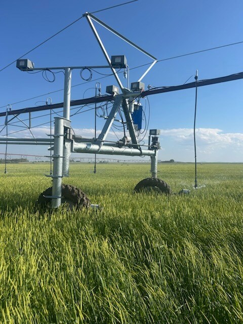 1176 County Line Rd, Fort Shaw, MT 59443 - photo 4