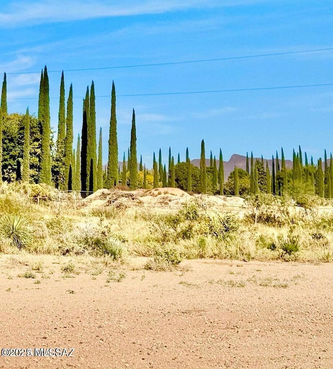 TBD International Ave 4 24 Acres, Douglas, AZ 85607 - photo 2