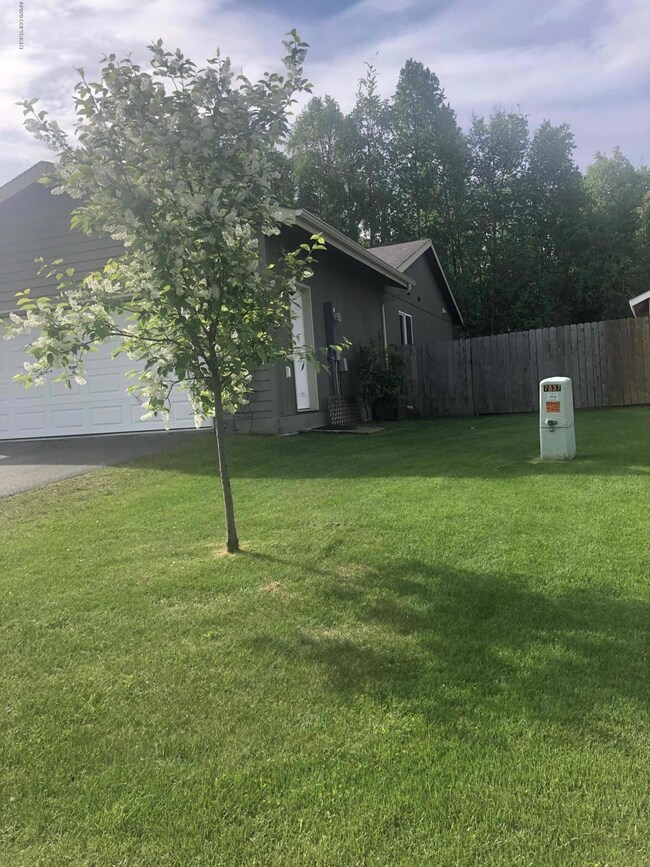 Green front lawn