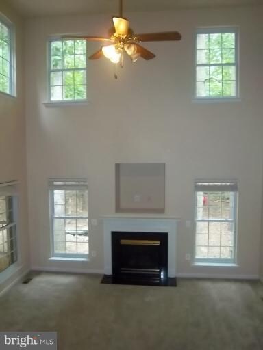 3412 Lakeview Pkwy, Locust Grove, VA 22508 - photo 2