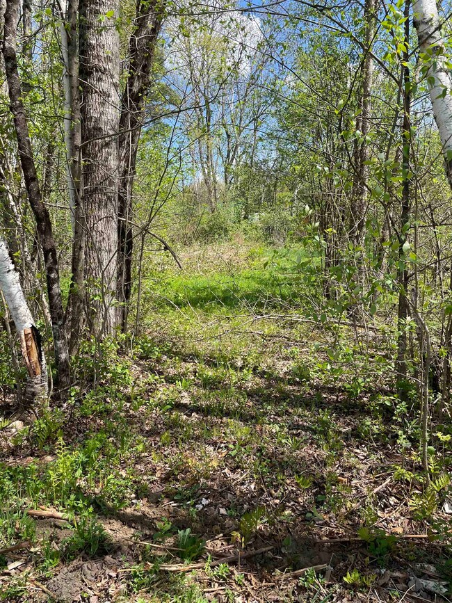 0 Autumn Rd unit 14, Littleton, NH 03561 - photo 6