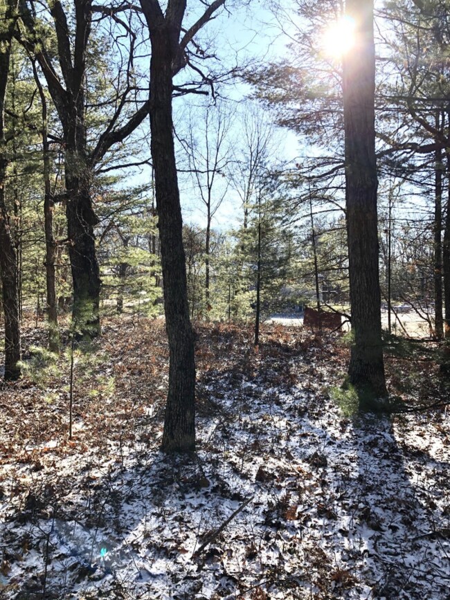 neighbor to the east