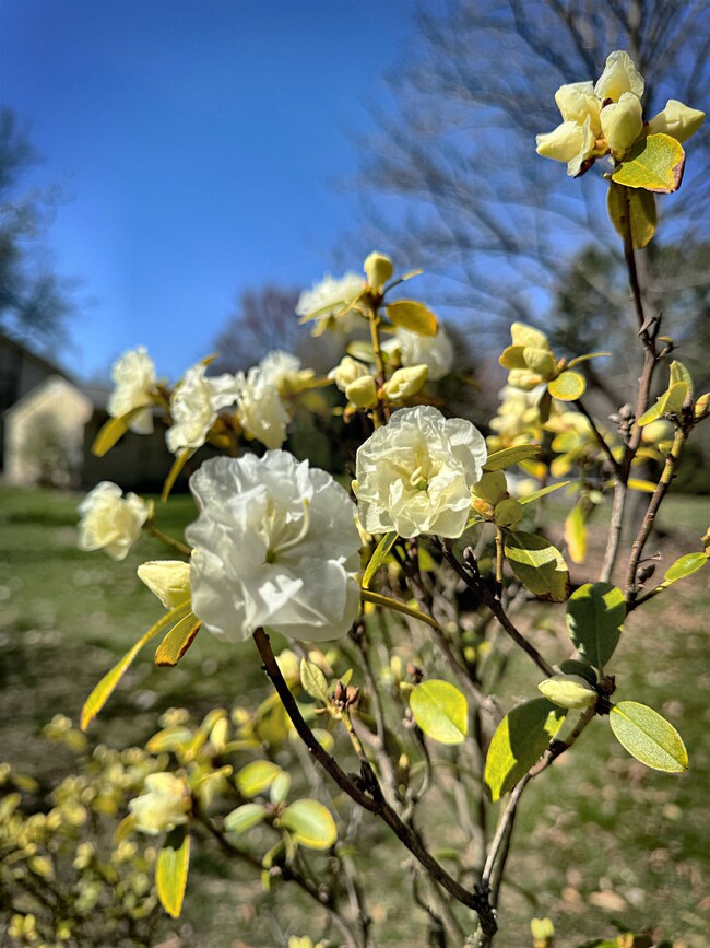 10 Fairbrothers Ave, Charlestown, NH 03603 - photo 7