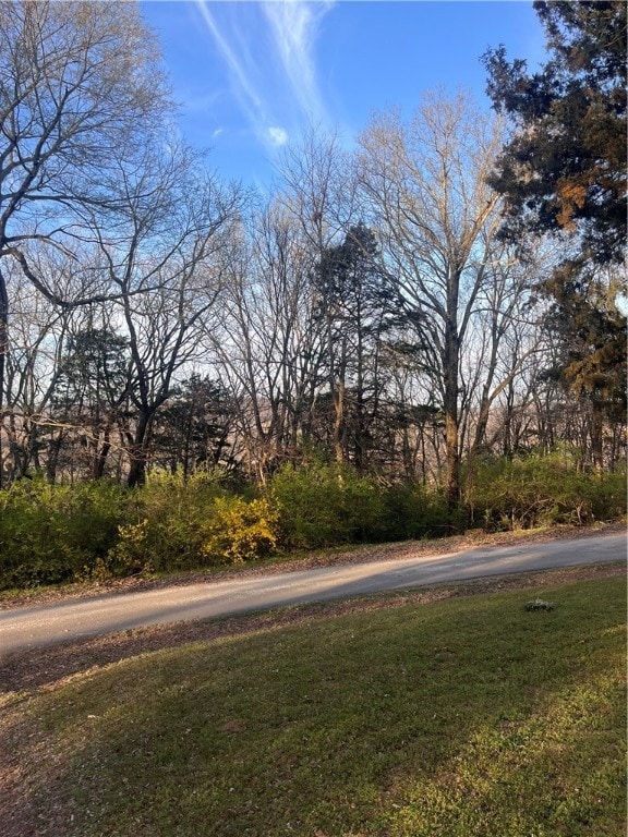 Front yard view