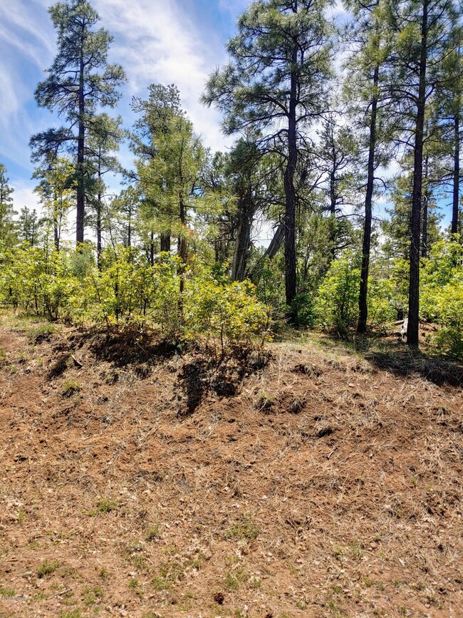 Larger Lot