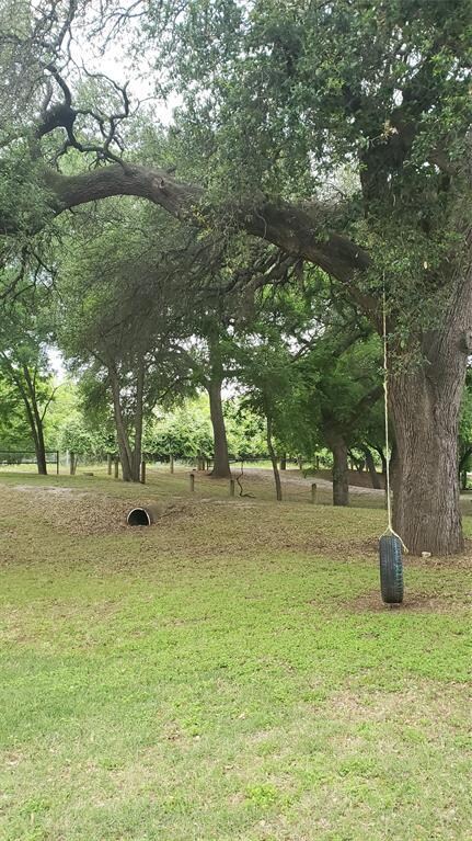 7219 Horseshoe Bend Trail, Weatherford, TX 76087 - photo 5