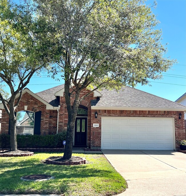 Mature trees in front yard