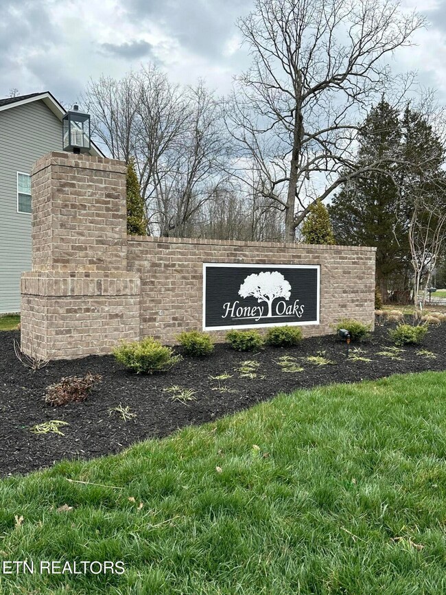 7727 Honey Oaks Rd, Corryton, TN 37721 - photo 3