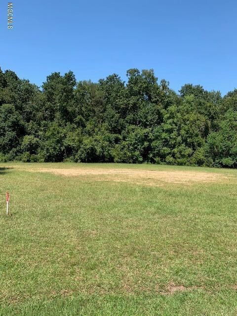 lot 9