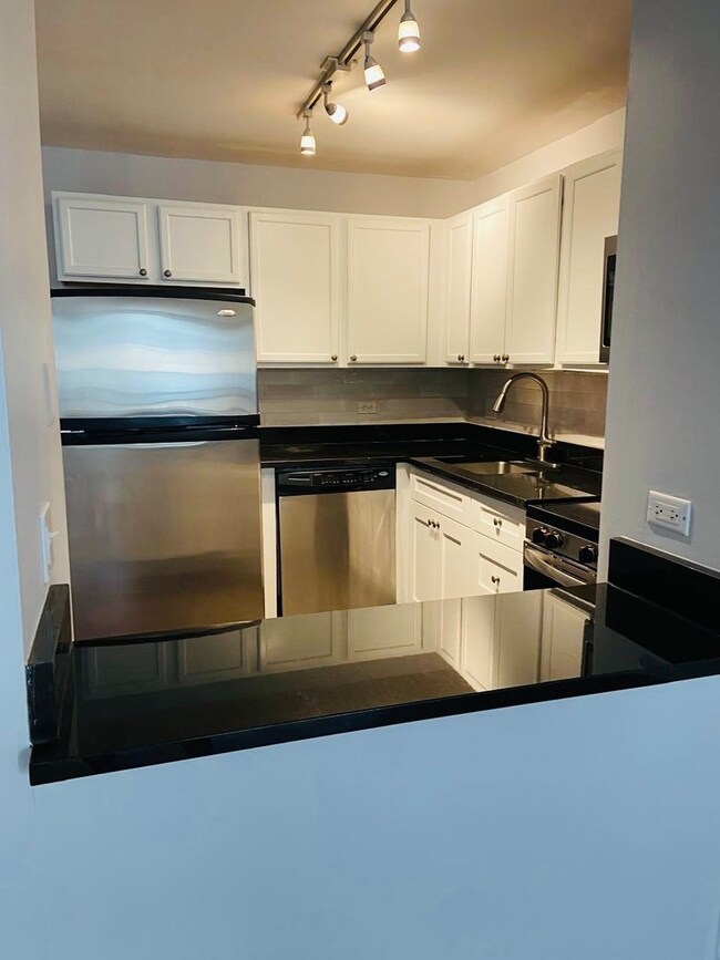 Pearson on the Park Condos unit 905, Chicago, IL 60611 - photo 7