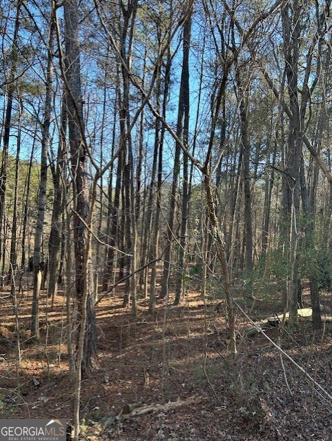 295 Handley Ct, Tyrone, GA 30290 - photo 5