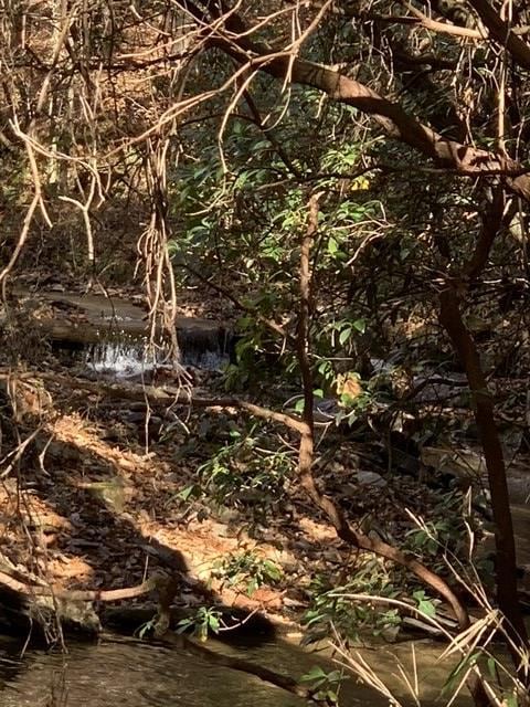 Lot 95 Cedar St, Ellijay, GA 30540 - photo 3