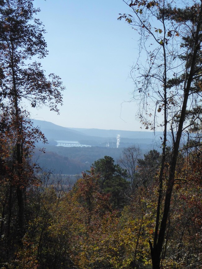 P1040006