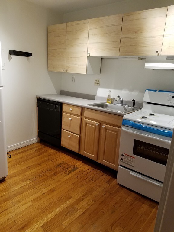 47 E Springfield St unit A, Boston, MA 02118 - photo 5