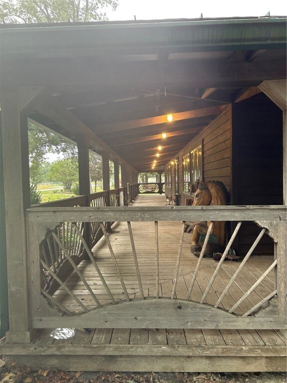 Carousel Image