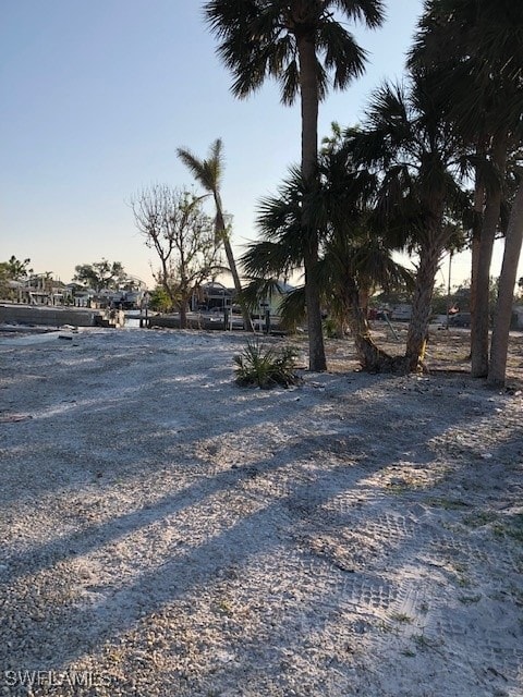 View of yard at dusk