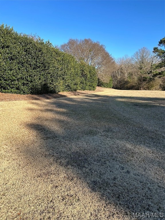 53 Mullis Creek, Pike Road, AL 36064 - photo 3