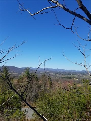 91 Balsamwood Dr unit 30, Leicester, NC 28748 - photo 3