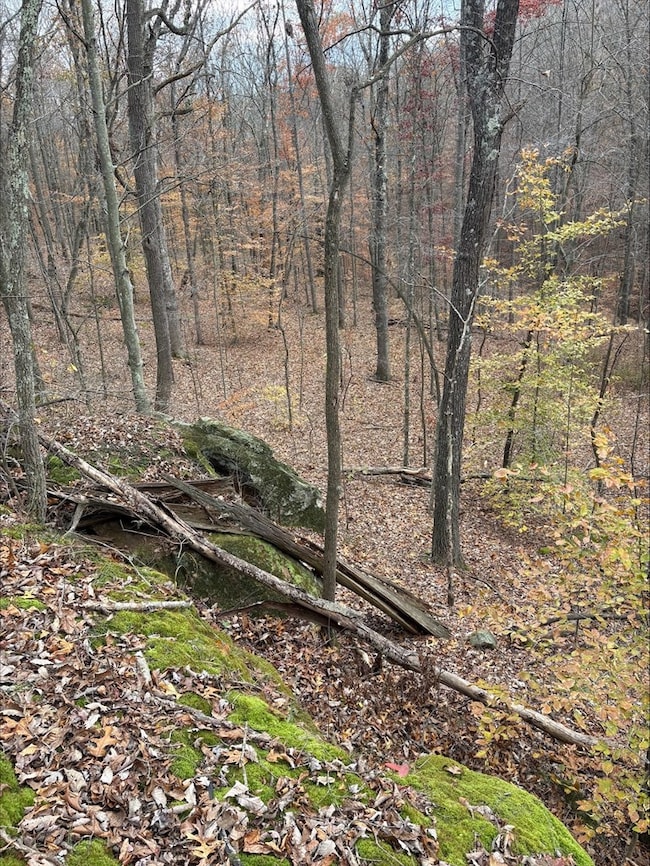 3110 Borland Rd, Jackson Township, OH 45672 - photo 3