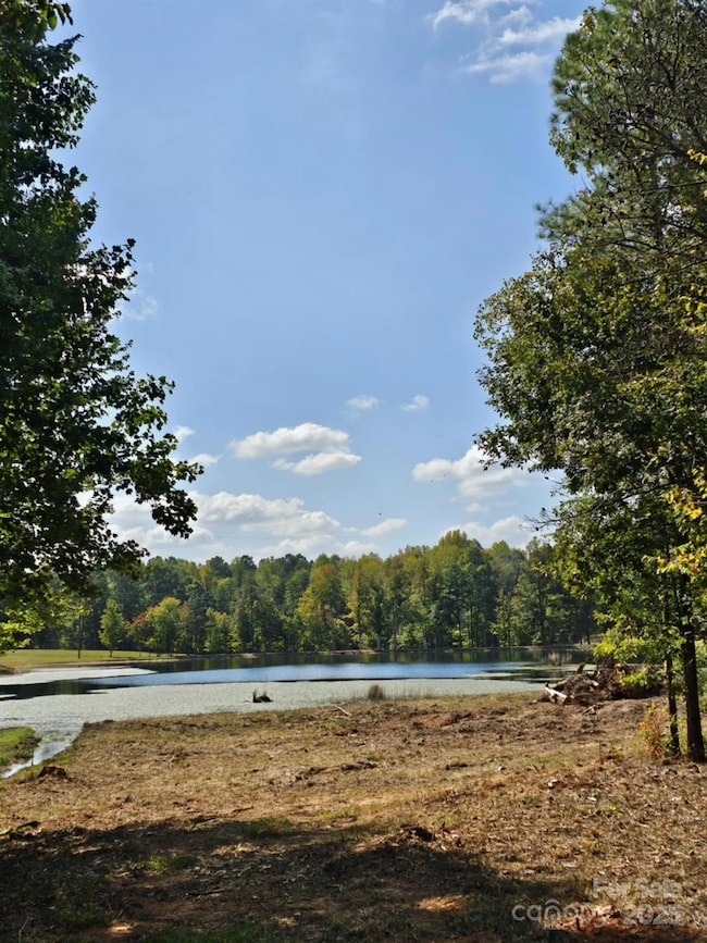 210 Fancy Lady Ct, York, SC 29745 - photo 6