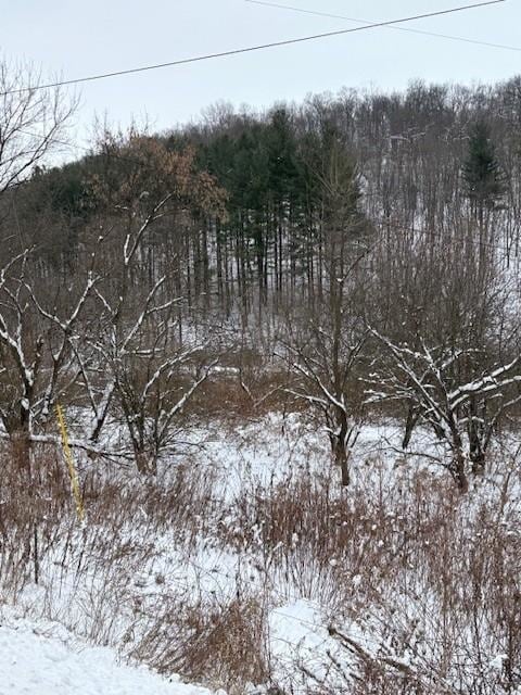 20497 Hady Ln, Gays Mills, WI 54631 - photo 3